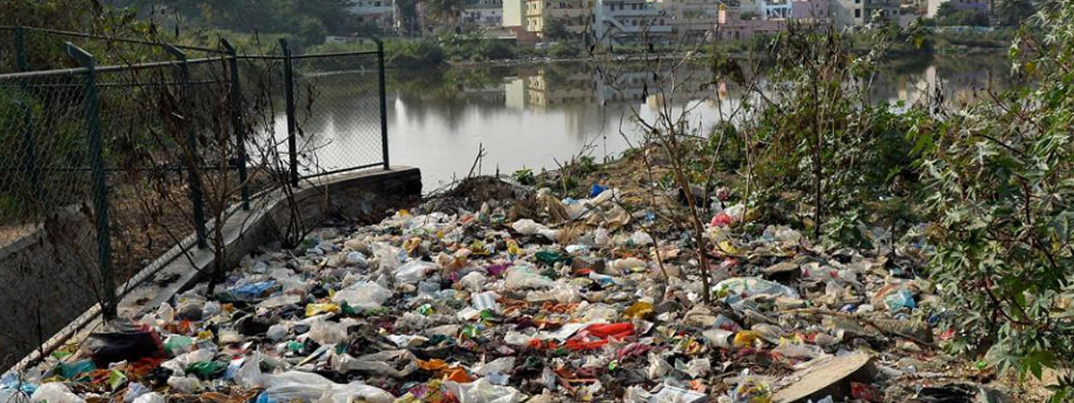 Bengaluru: How India’s ‘Garden City’ became garbage city?